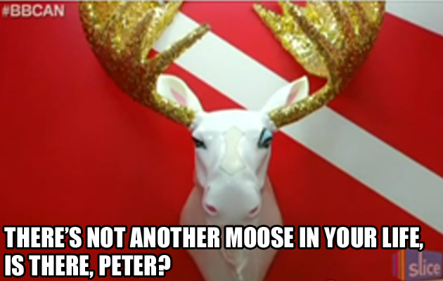 https://blogs.perl.org/users/byterock/another-moose-in-your-life1.jpg