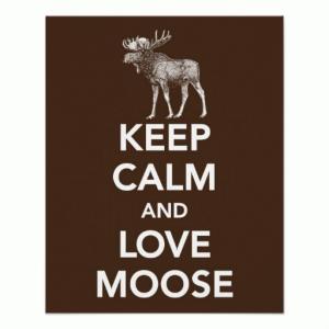 keep_calm_and_love_moose_print_or_poster-rcaa925f4af0e4ba5b4ef03a9e7a73d07_wvc_8byvr_512.jpg