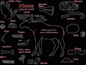 moosepartsmap.gif