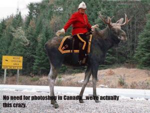 f812e335279fd3ef3d29a746d7fde802--meanwhile-in-canada-canadian-things.jpg