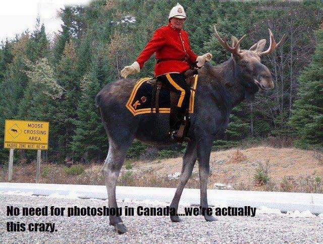 https://blogs.perl.org/users/byterock/f812e335279fd3ef3d29a746d7fde802--meanwhile-in-canada-canadian-things.jpg