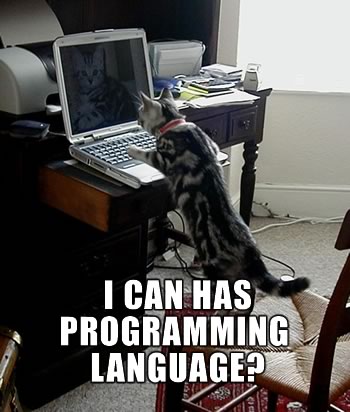 https://blogs.perl.org/users/byterock/i-can-has-programming-language.jpg