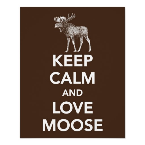 https://blogs.perl.org/users/byterock/keep_calm_and_love_moose_print_or_poster-rcaa925f4af0e4ba5b4ef03a9e7a73d07_wvc_8byvr_512.jpg