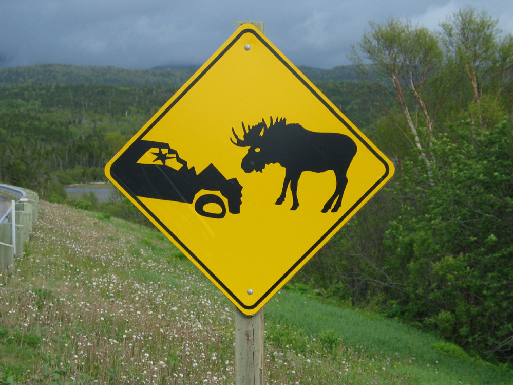 https://blogs.perl.org/users/byterock/moose_related_carcrashes.jpeg