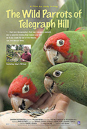 180px-WildParrots.jpg